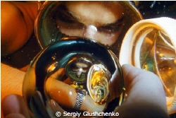Fish eye by Sergiy Glushchenko 